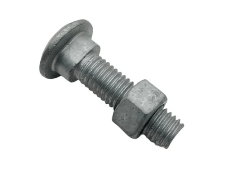 Hot Dipped Square Neck Galvanized Carriage Bolts