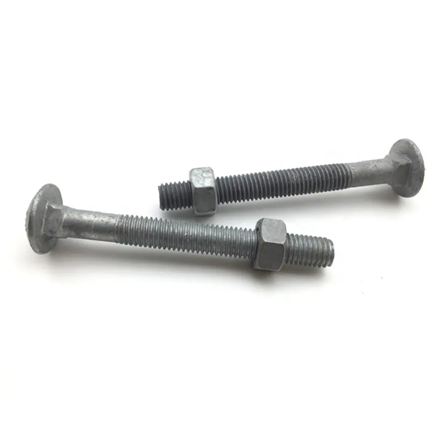 Hot Dipped Galvanized Carriage Bolts